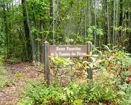 016 Route forestière de la Fontaine des Fièvres
